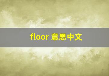 floor 意思中文